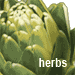 herbs