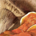 mushrooms